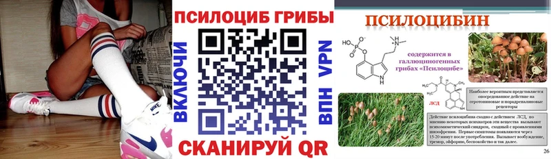 Купить закладки  Краснокаменск  Псилоцибиновые грибы мухоморы 